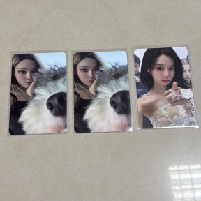 Фотокарты karina smtown pets