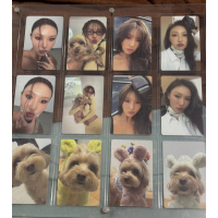 Фотокарты сет hwasa and dog