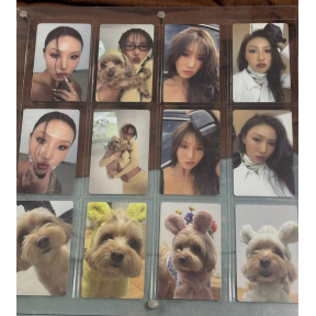 Фотокарты сет hwasa and dog