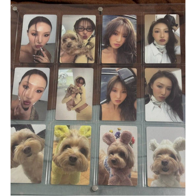 Фотокарты сет hwasa and dog