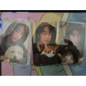Фотокарты nct memer with pets