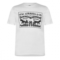 Футболка LEVIS Varsity Circle