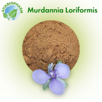 Murdannia (порошок) 500 г.