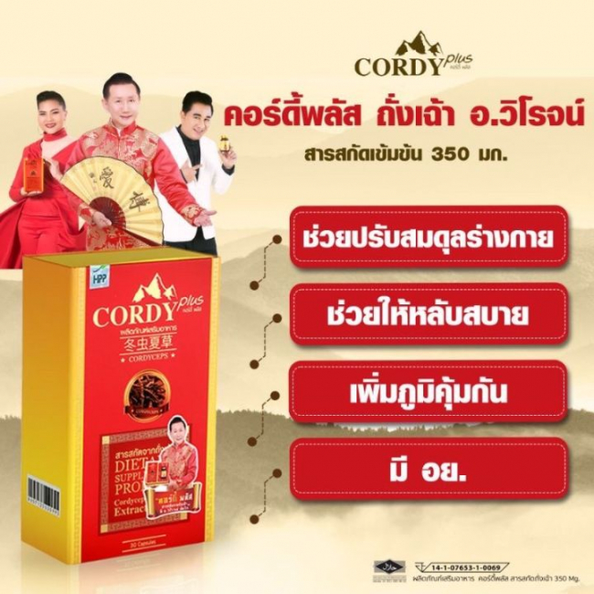 Cordy Plus