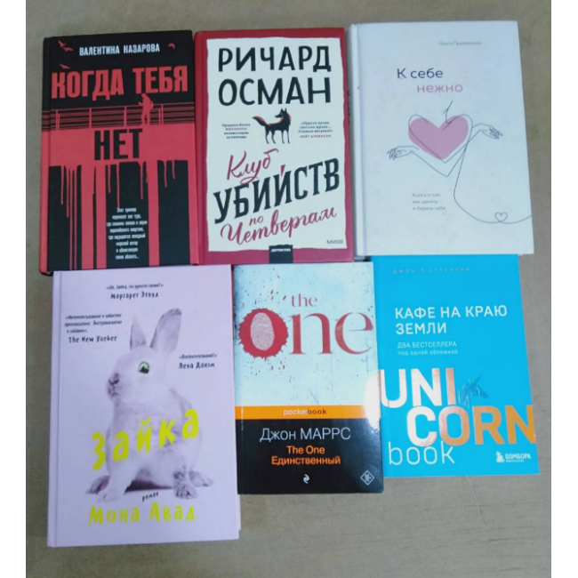 1 комплект книг (6 книг)