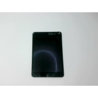 iPad Mini (поврежден)