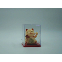 Кот удачи