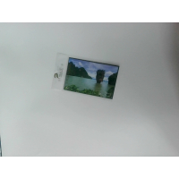 Про-карта