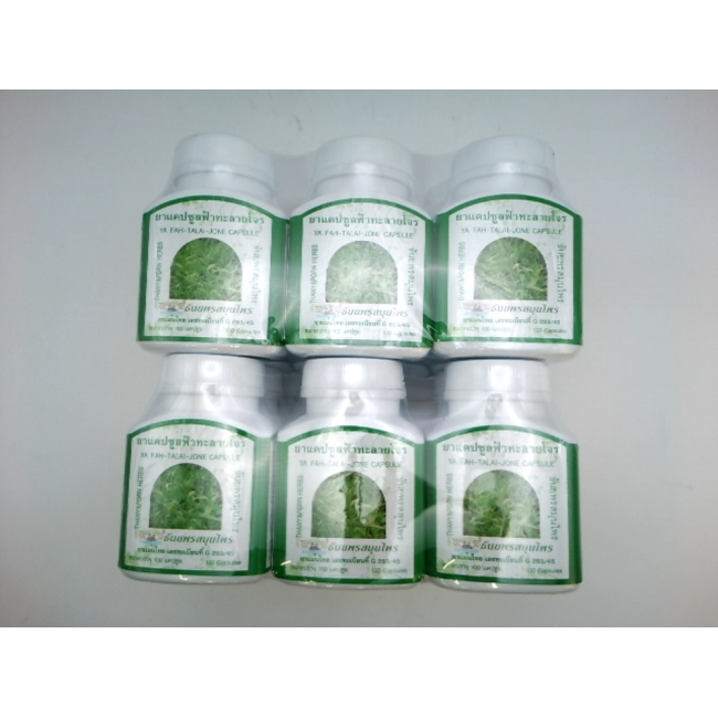 Thanyaporn Andrographis paniculata, pack of 6 pieces