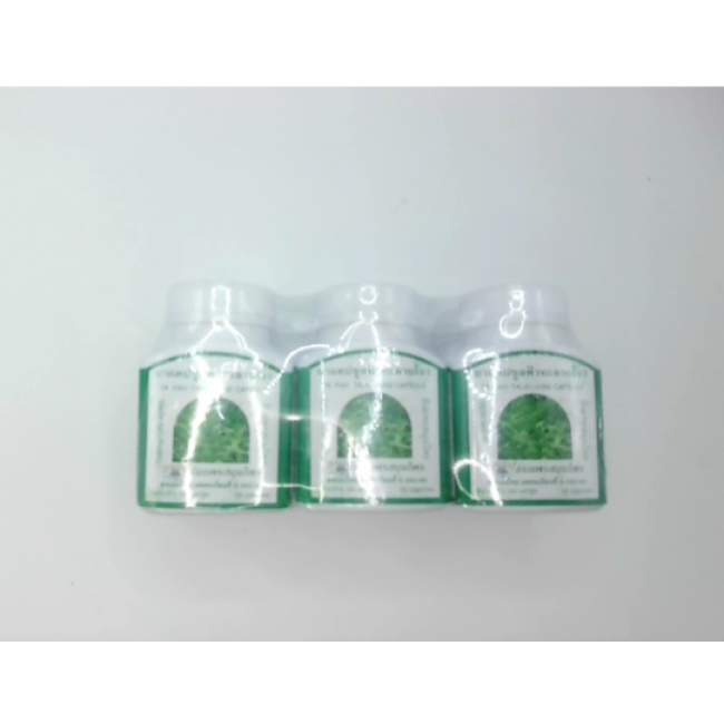 Thanyaporn Andrographis paniculata, pack of 6 pieces